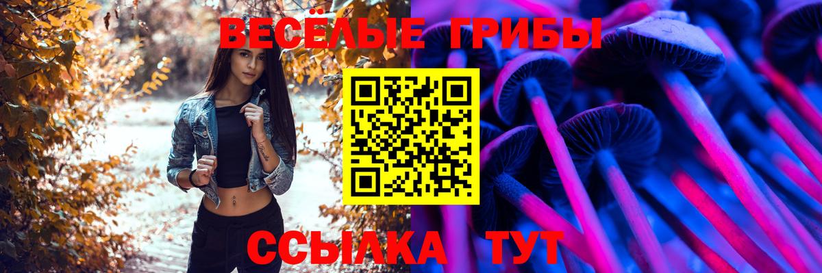 Псилоцибиновые грибы мицелий Наро-Фоминск